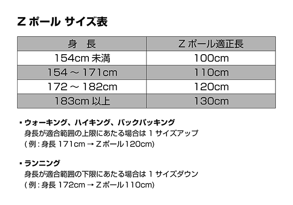 ディスタンスFLZ(95-110cm ピューター): ブラックダイヤモンド 