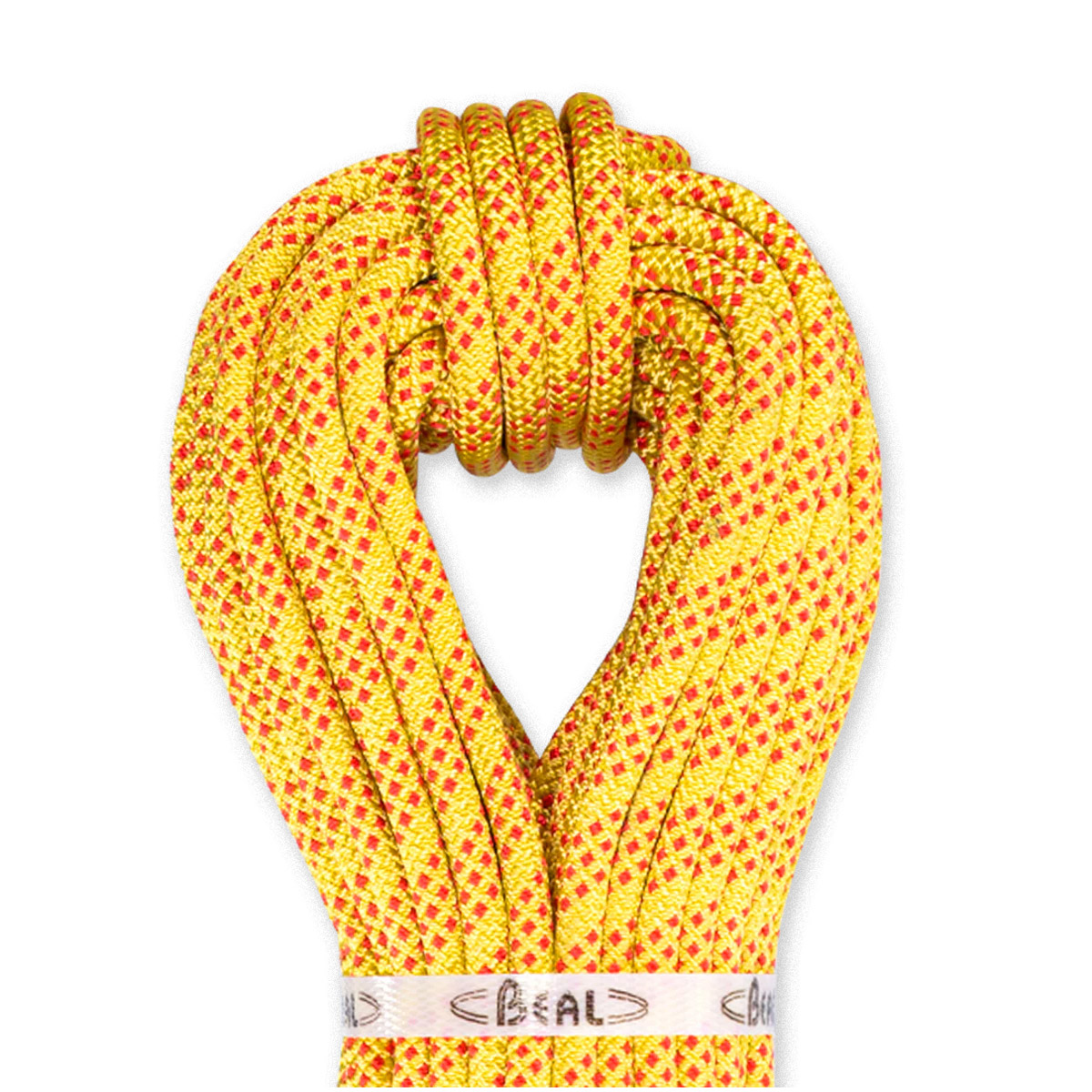 9.5mmアクアライン