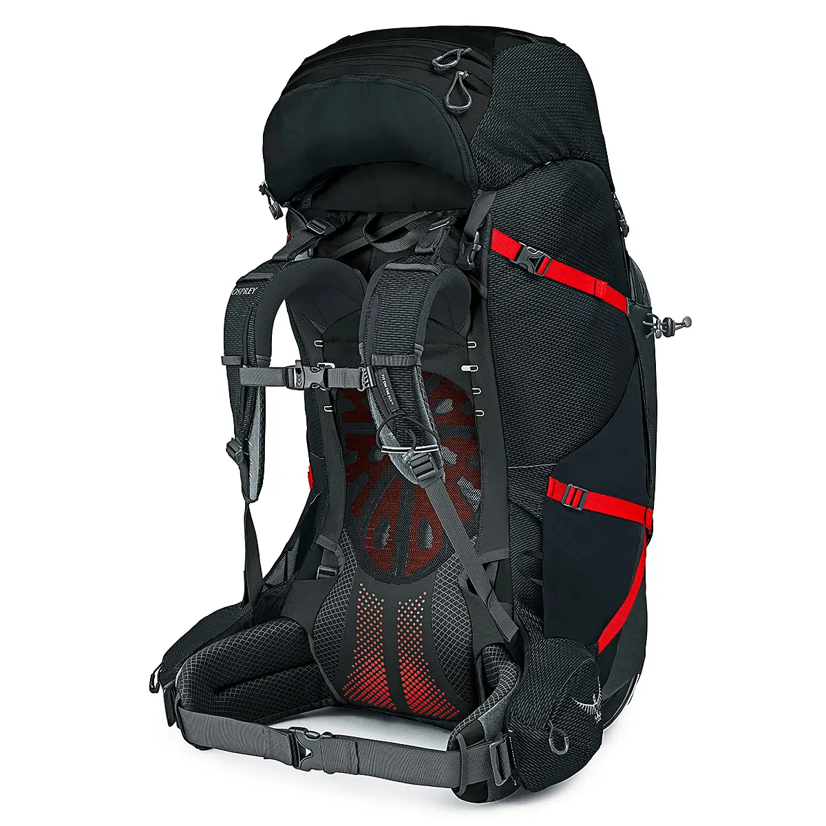 イーサープラス100 ブラック L/XL