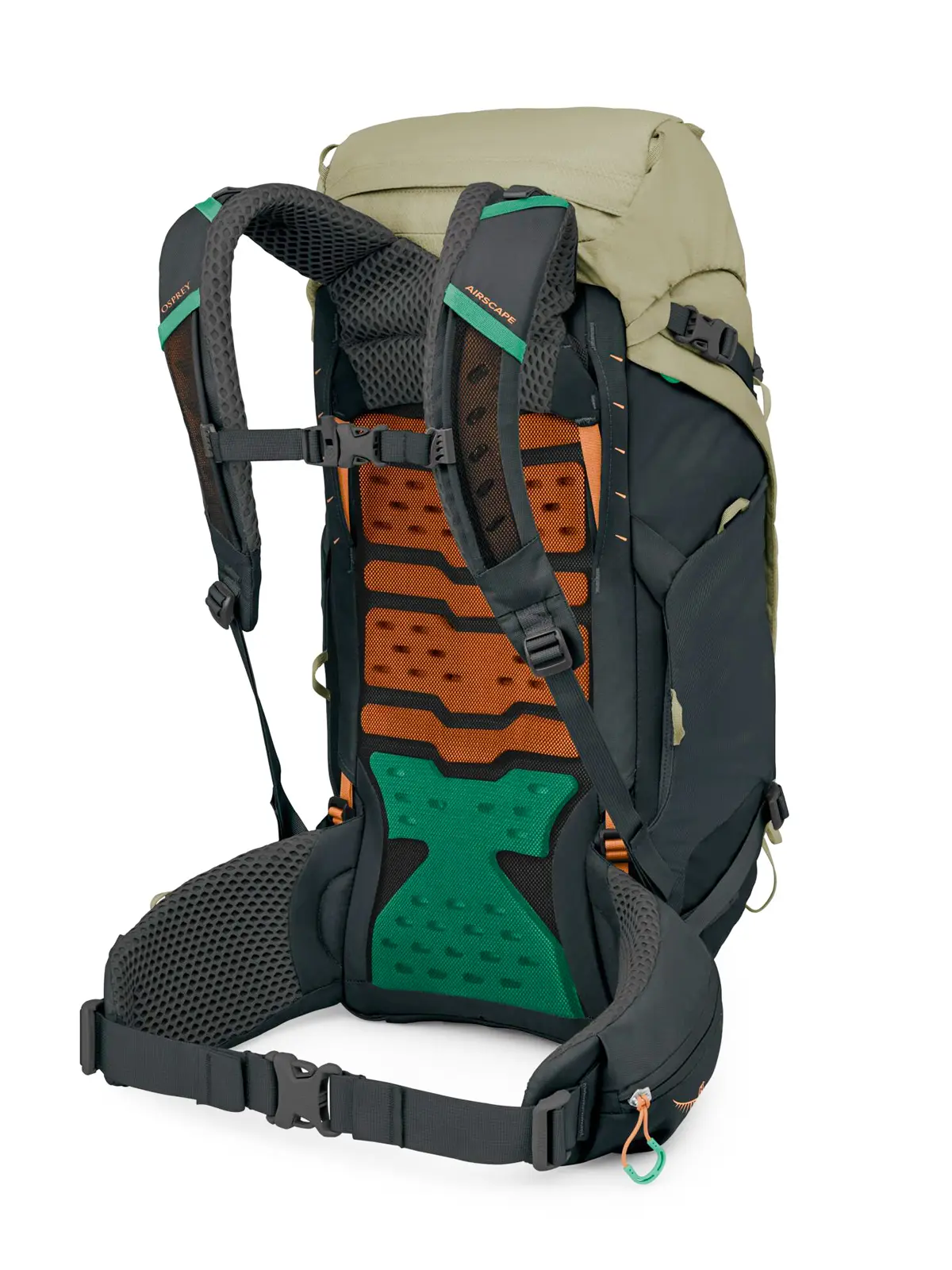 ケストレルLT35 オリーブタン