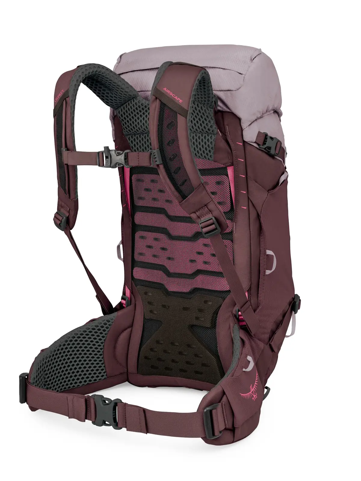 カイトLT28 グラファイトパープル