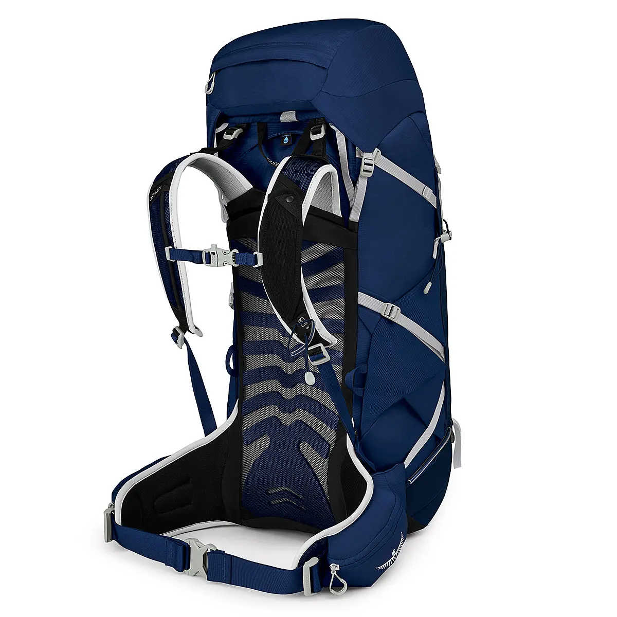 【OUTLET】タロン44 (セラミックブルー L/XL) セラミックブルー L/XL