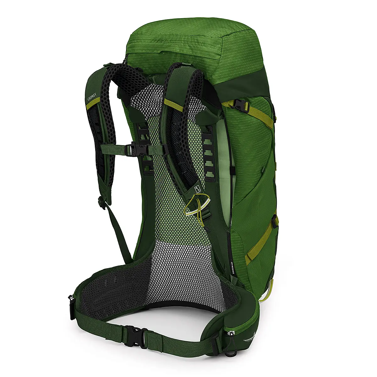 ストラトス44 シーウィード/マッチャグリーン