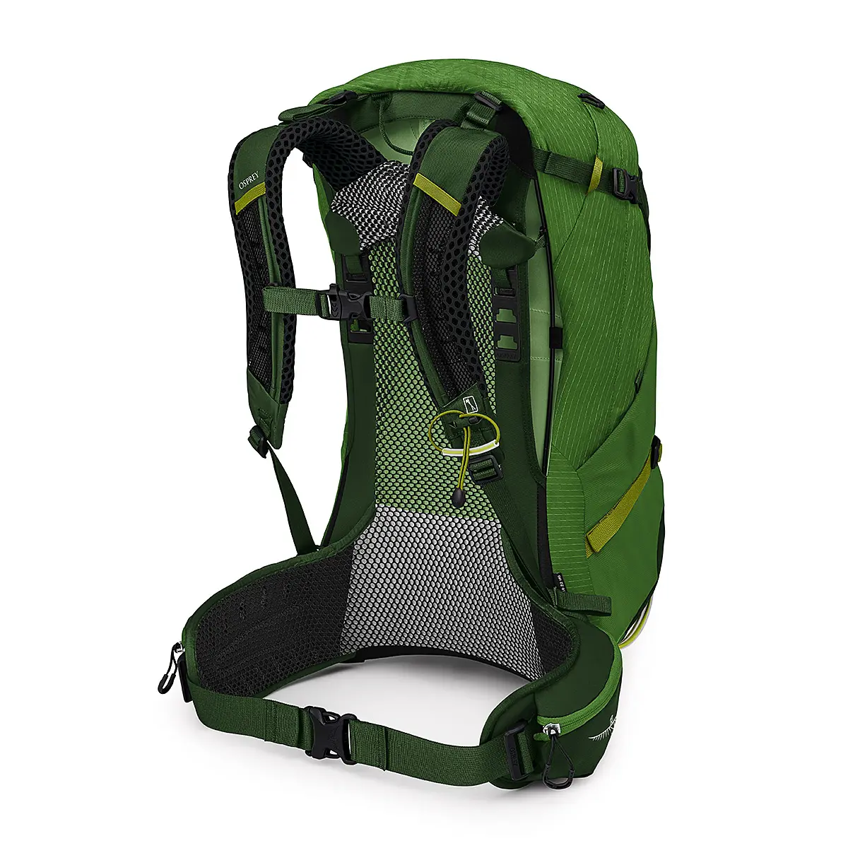 ストラトス34 シーウィード/マッチャグリーン