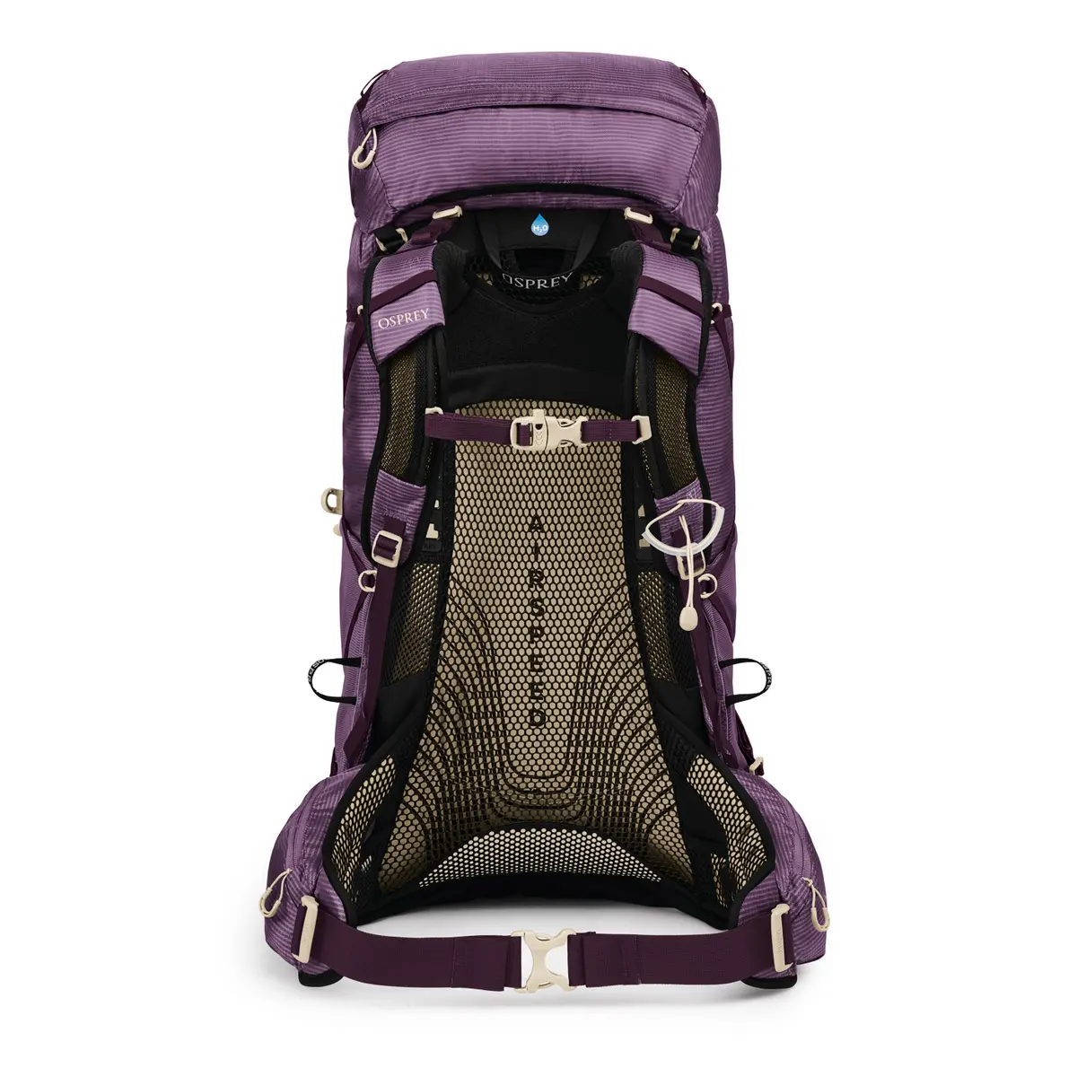 エイジャ48 パープルダスク M/L