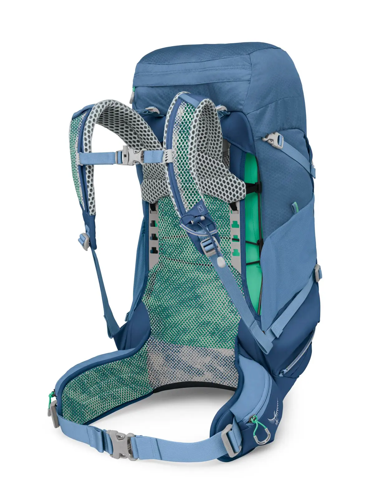 シラス36 セーブルスブルー