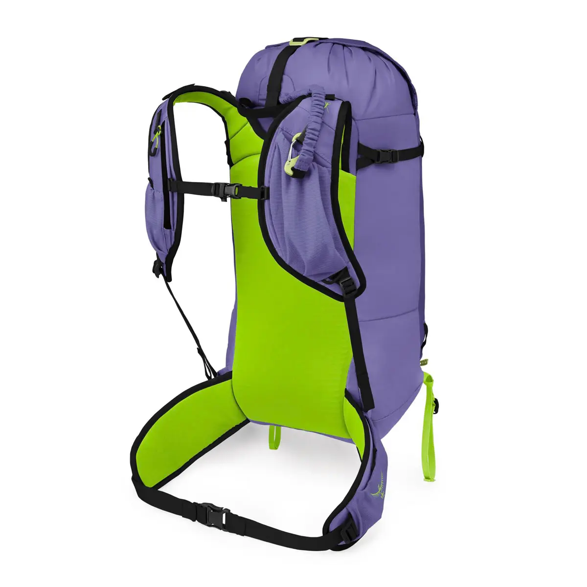 ファーン28 ユーフォリアパープル M/L