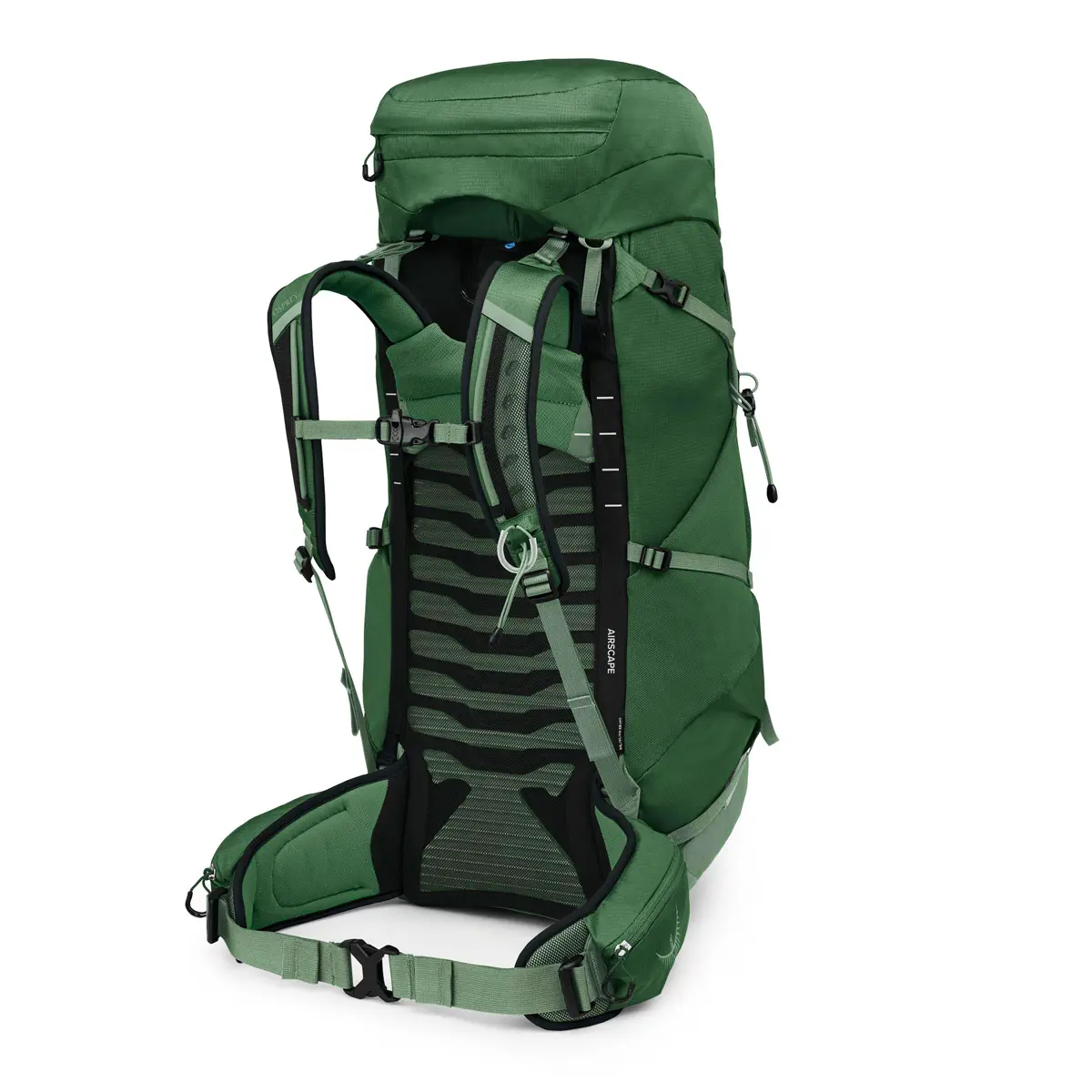 タロン44 グリーンキャノピー/パインリーフ S/M