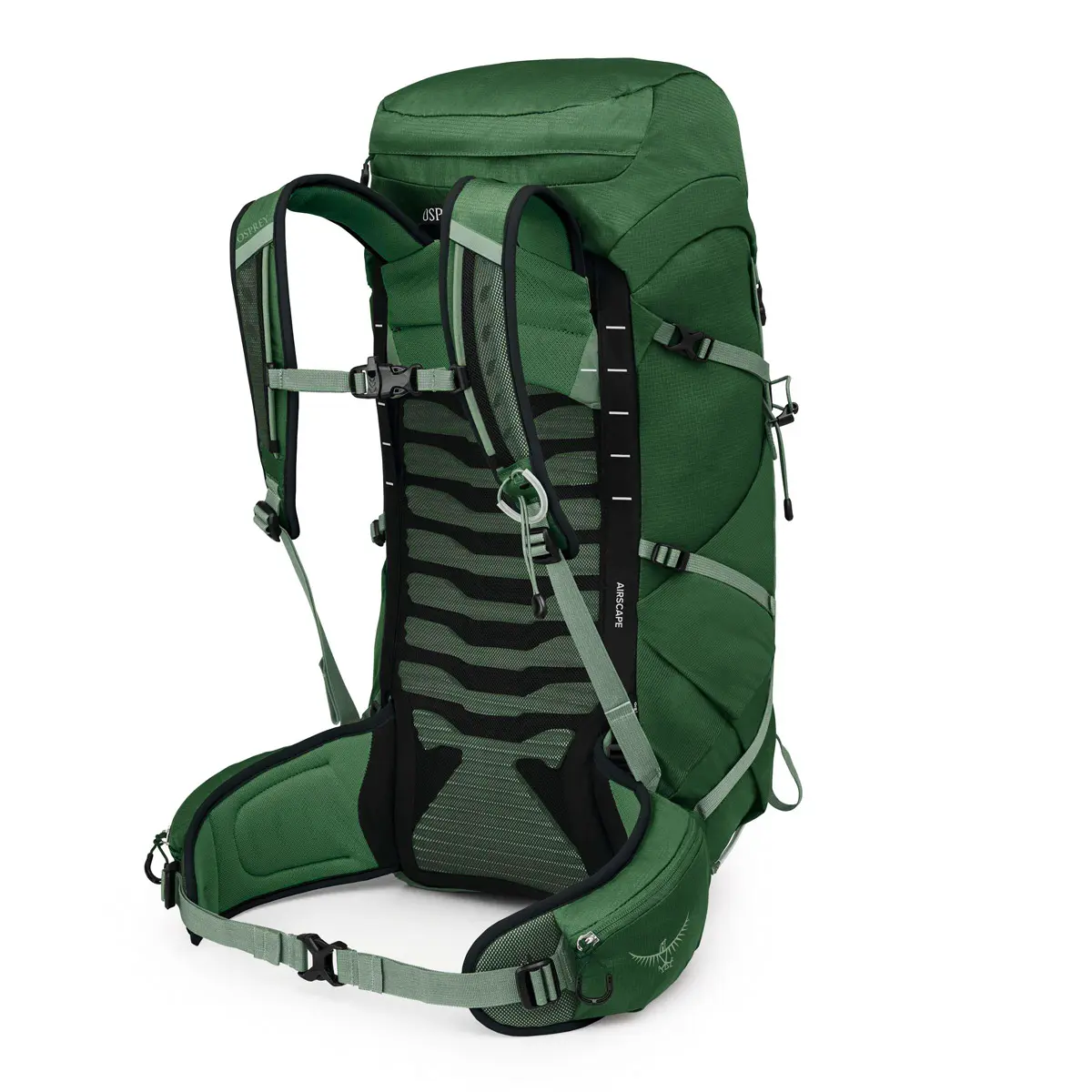 タロン33 グリーンキャノピー/パインリーフ