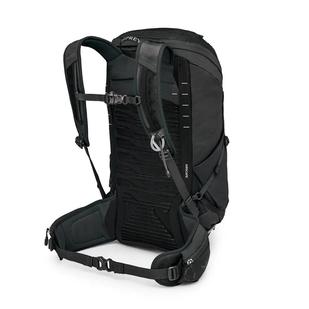 タロン26 ブラック/コーラルグレー