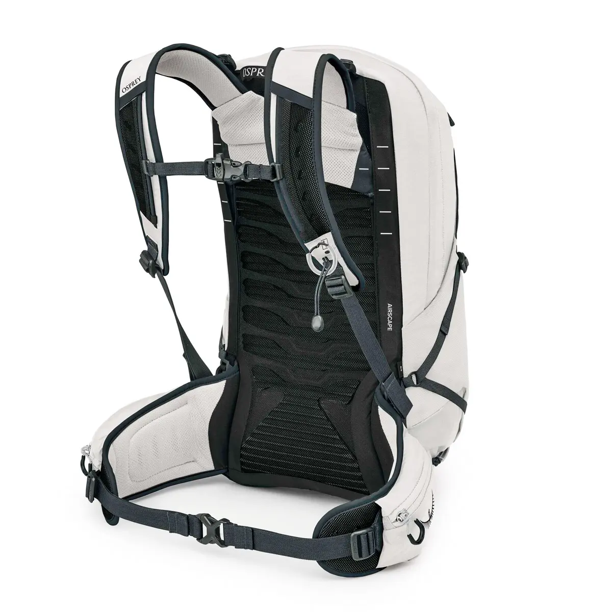 タロン22 ホワイト/ブラック