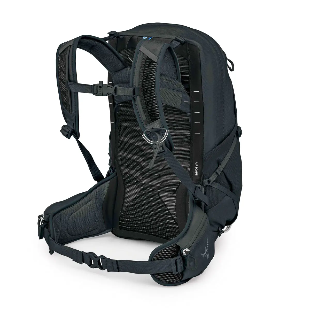 テンペスト22 ブラック/コーラルグレー