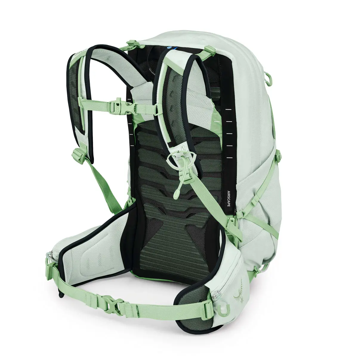 テンペスト22 フロスティミントグリーン/ボタニカ