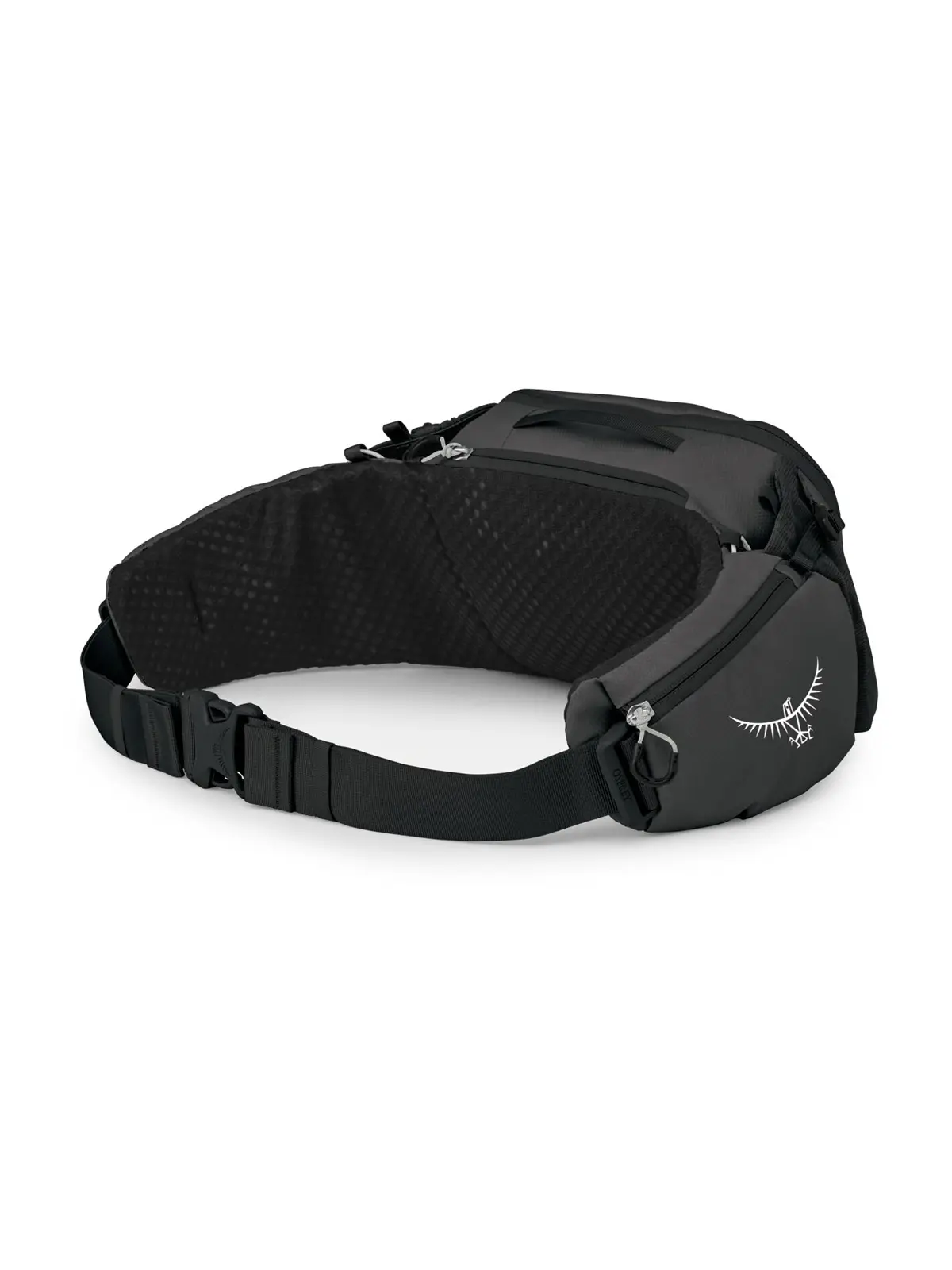 サブ5 レイブンブラック