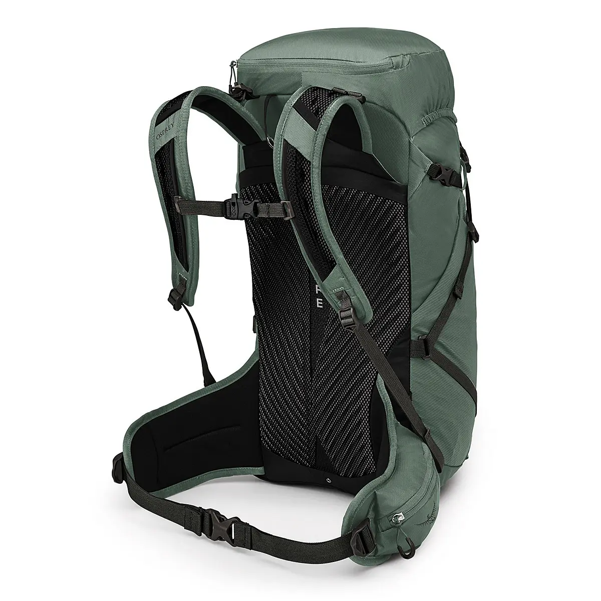 スポーツライト30 パインリーフグリーン M/L