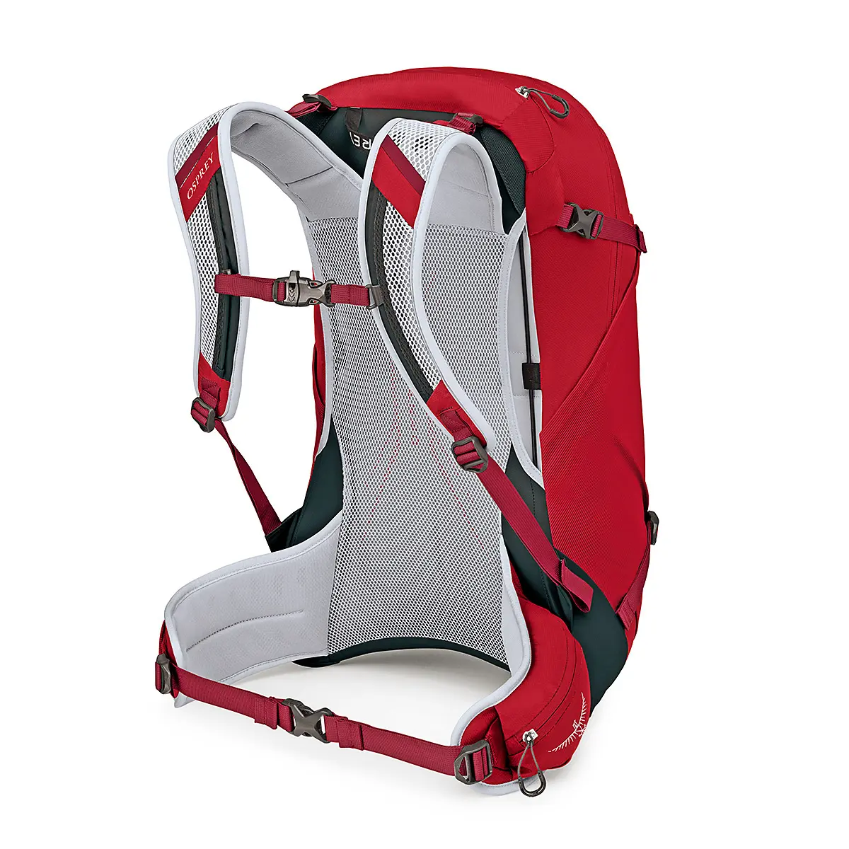 ハイクライト28 サングリアレッド M/L