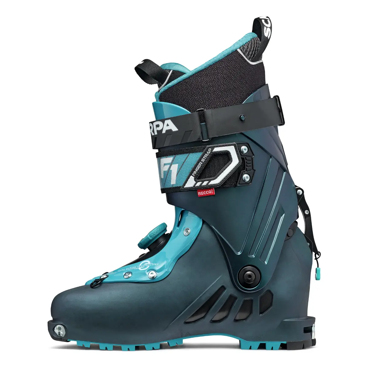 F1(25 アンソラジット): スカルパ | ロストアローオンラインストア