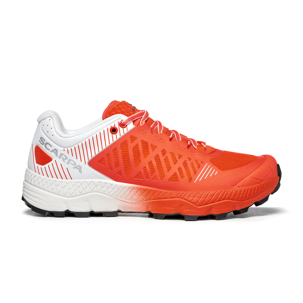 スピン ウルトラ Wmn 36 ブライトレッド ホワイト スカルパ ロストアローオンラインストア