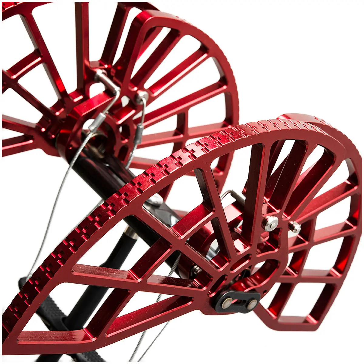 【WEB限定】キャメロットC4 #7 #7