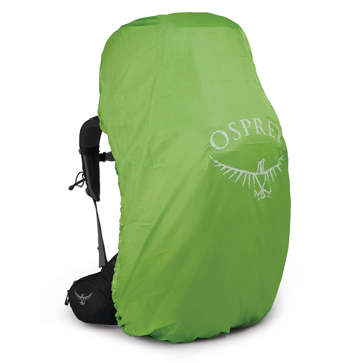 イーサープラス100 ブラック L/XL