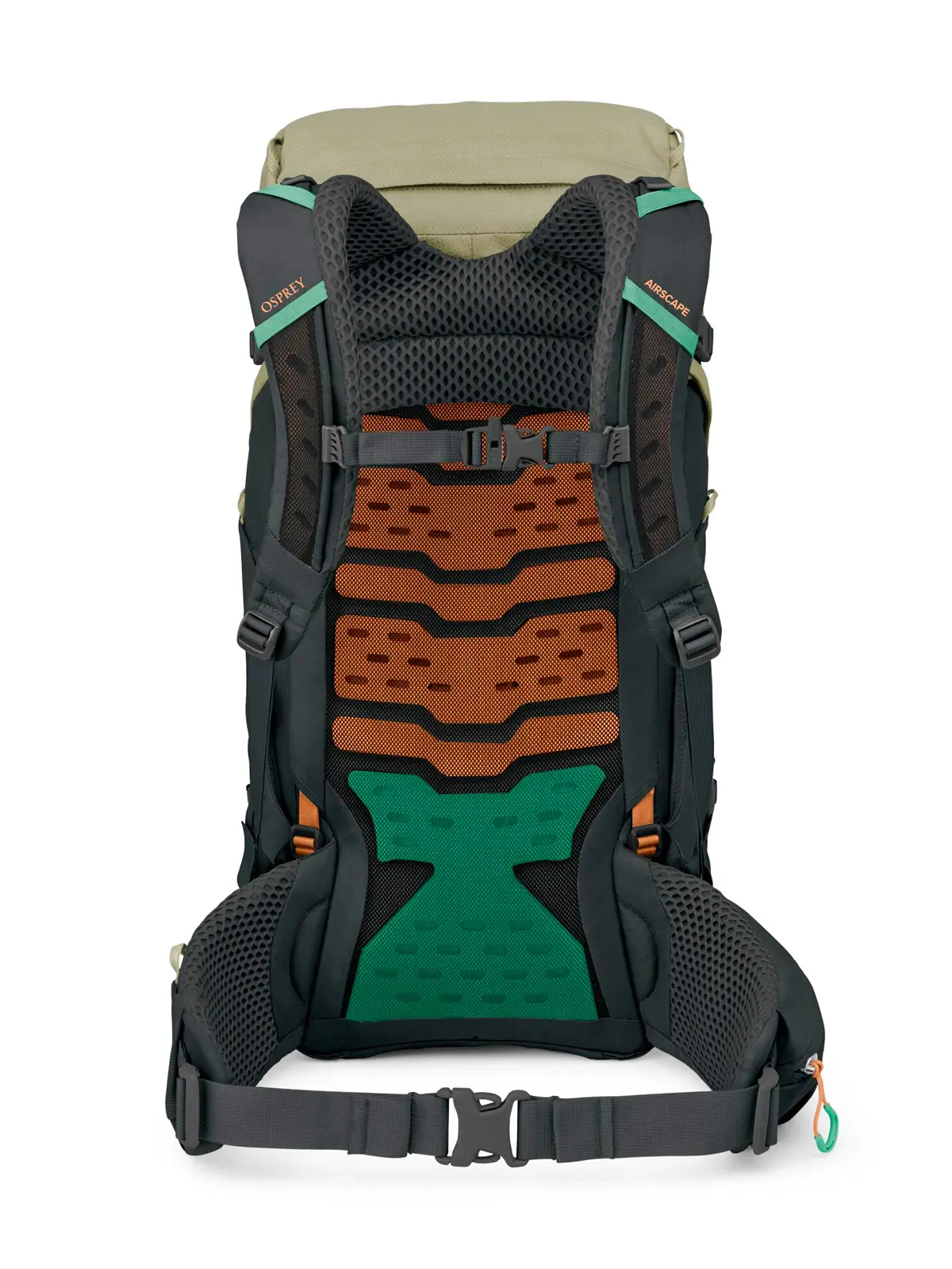 ケストレルLT35 オリーブタン