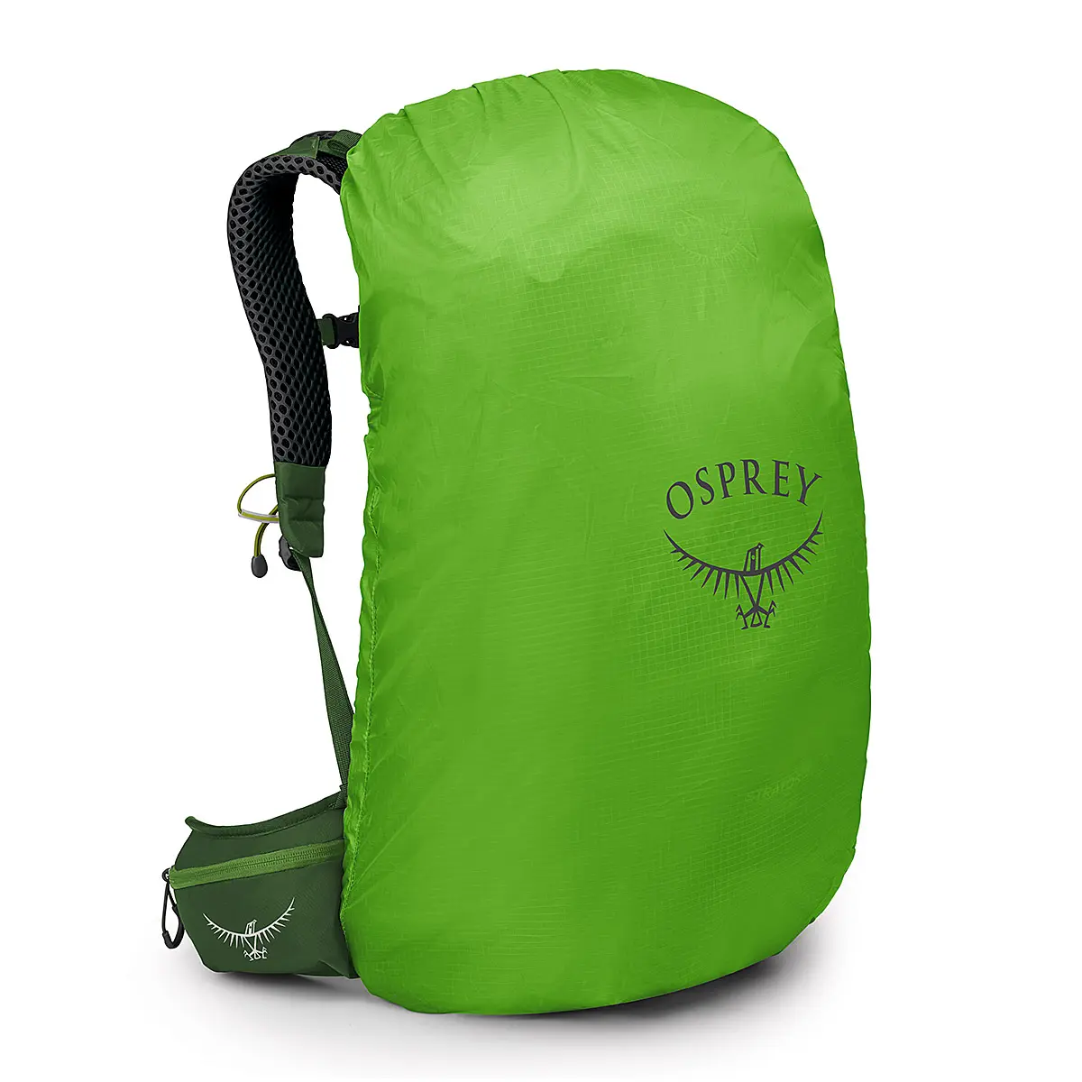 ストラトス34 シーウィード/マッチャグリーン