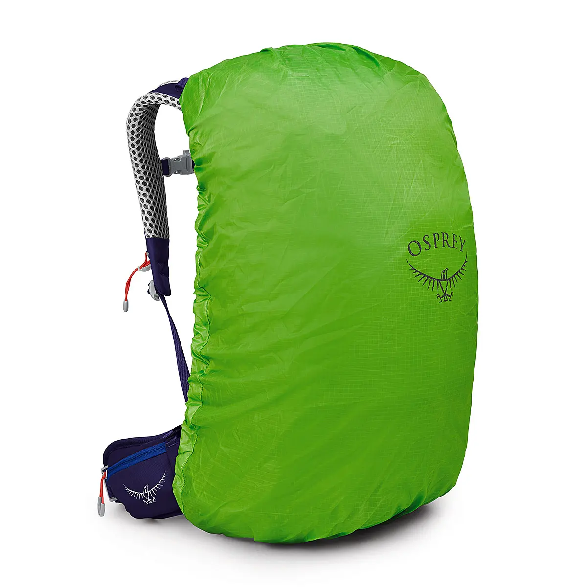 シラス34 ブルーベリー