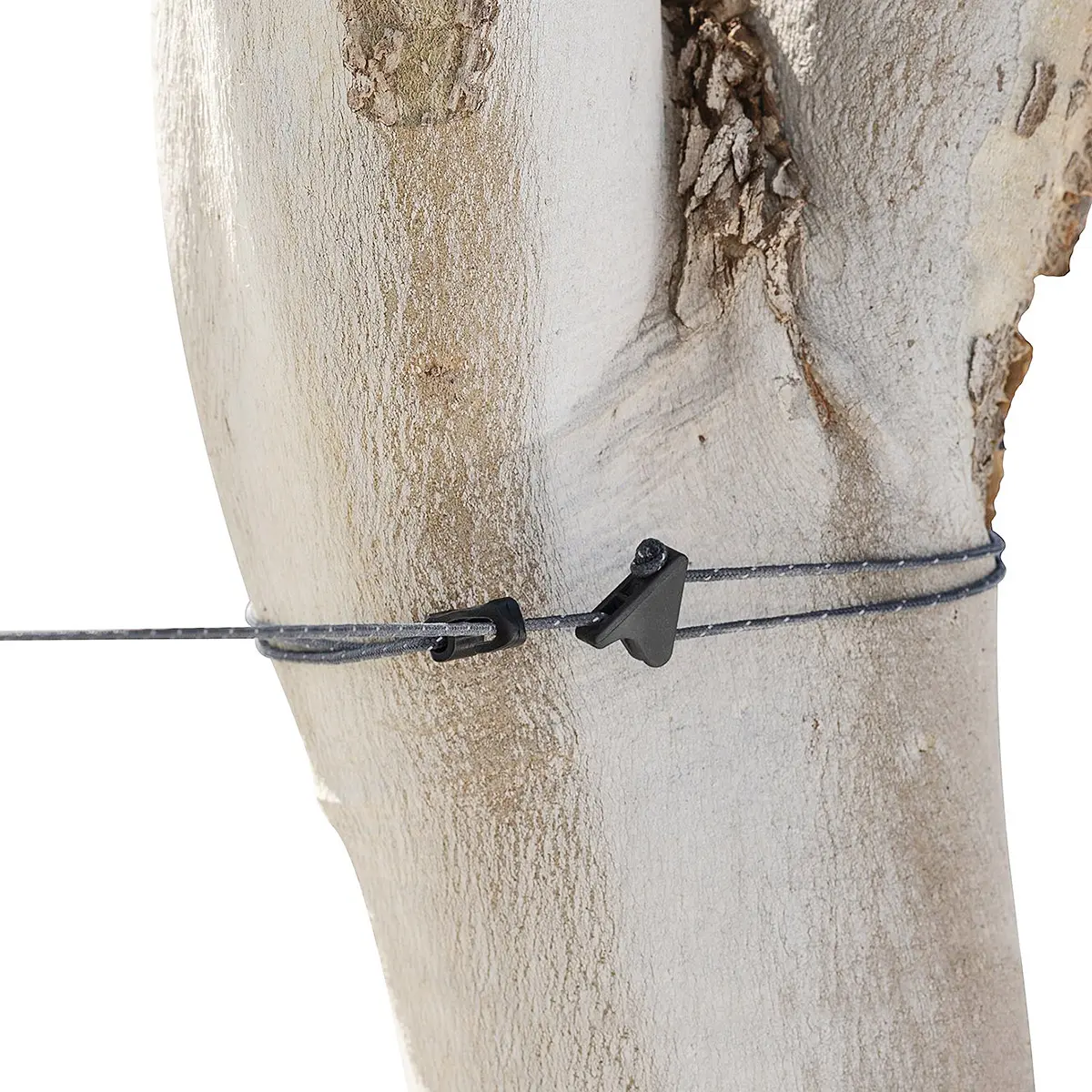 クローズライン