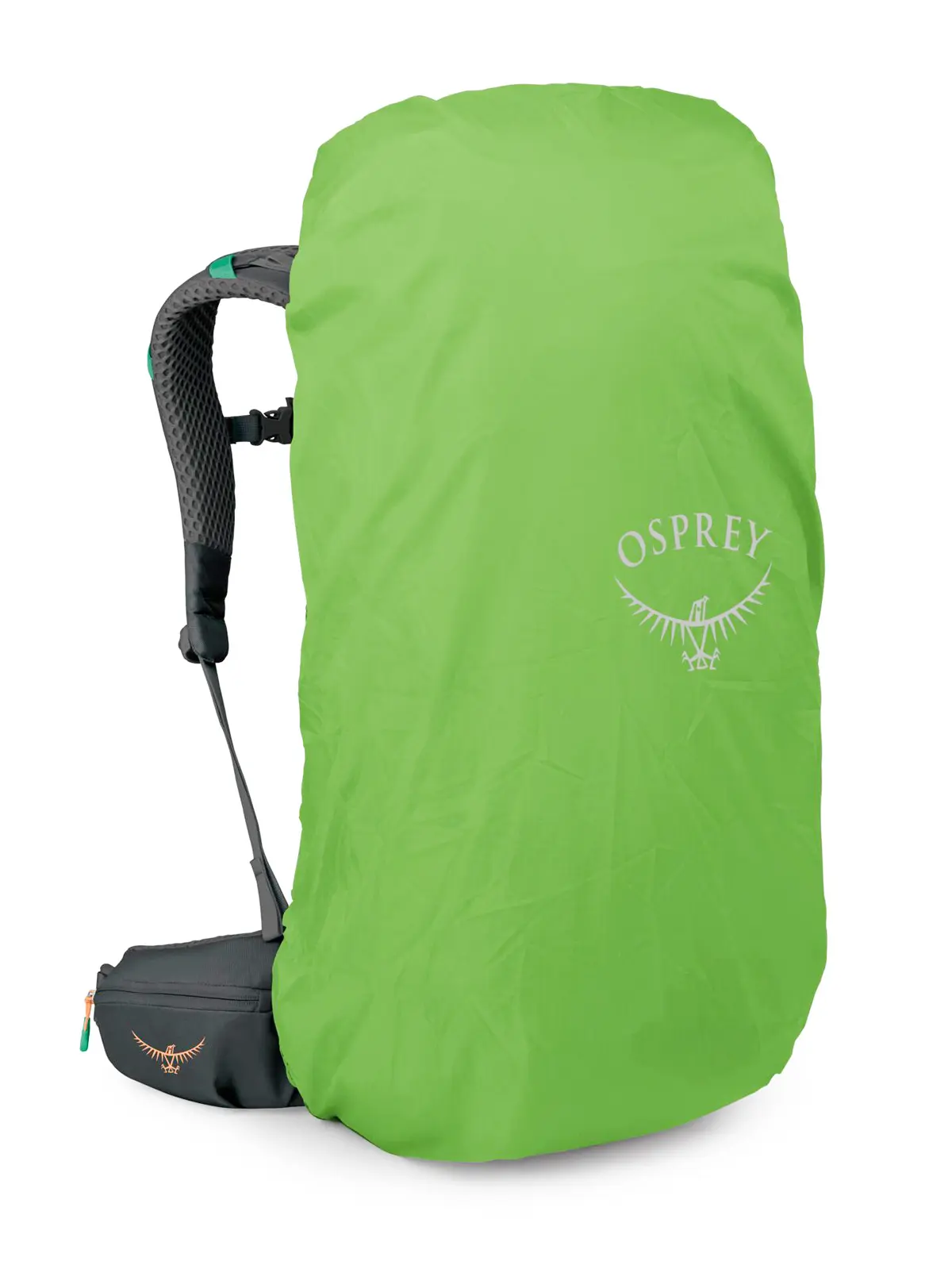 ケストレルLT45 オリーブタン