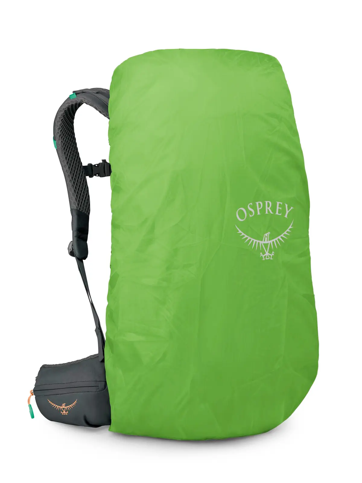 ケストレルLT35 オリーブタン