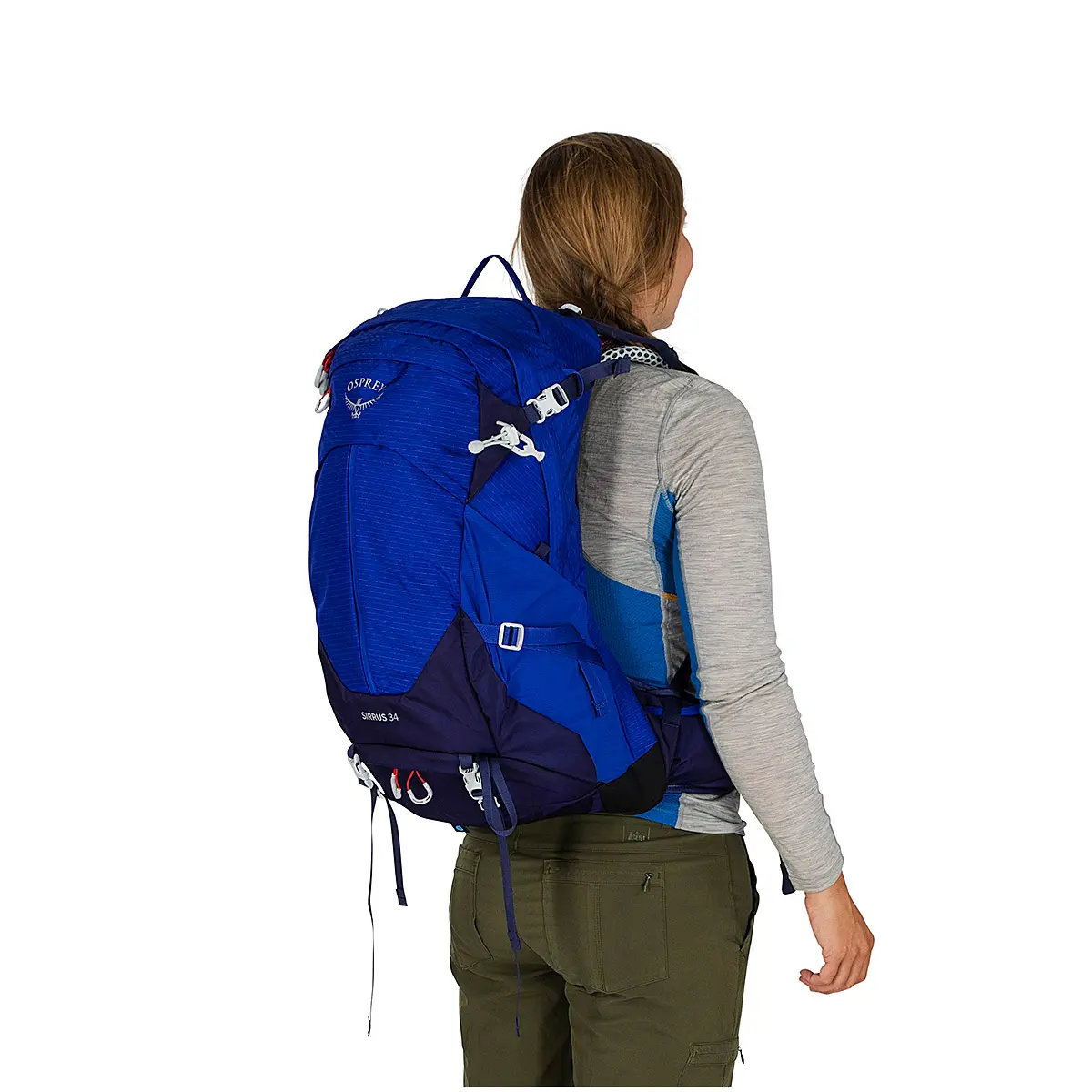 シラス34 ブルーベリー