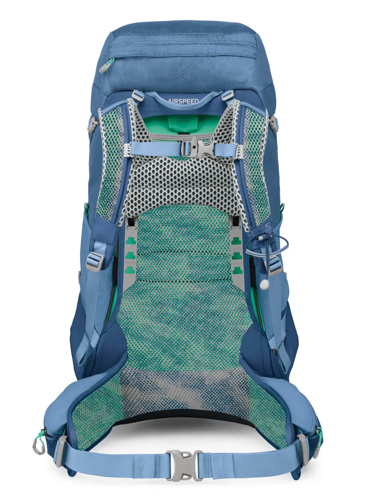 シラス44 セーブルスブルー