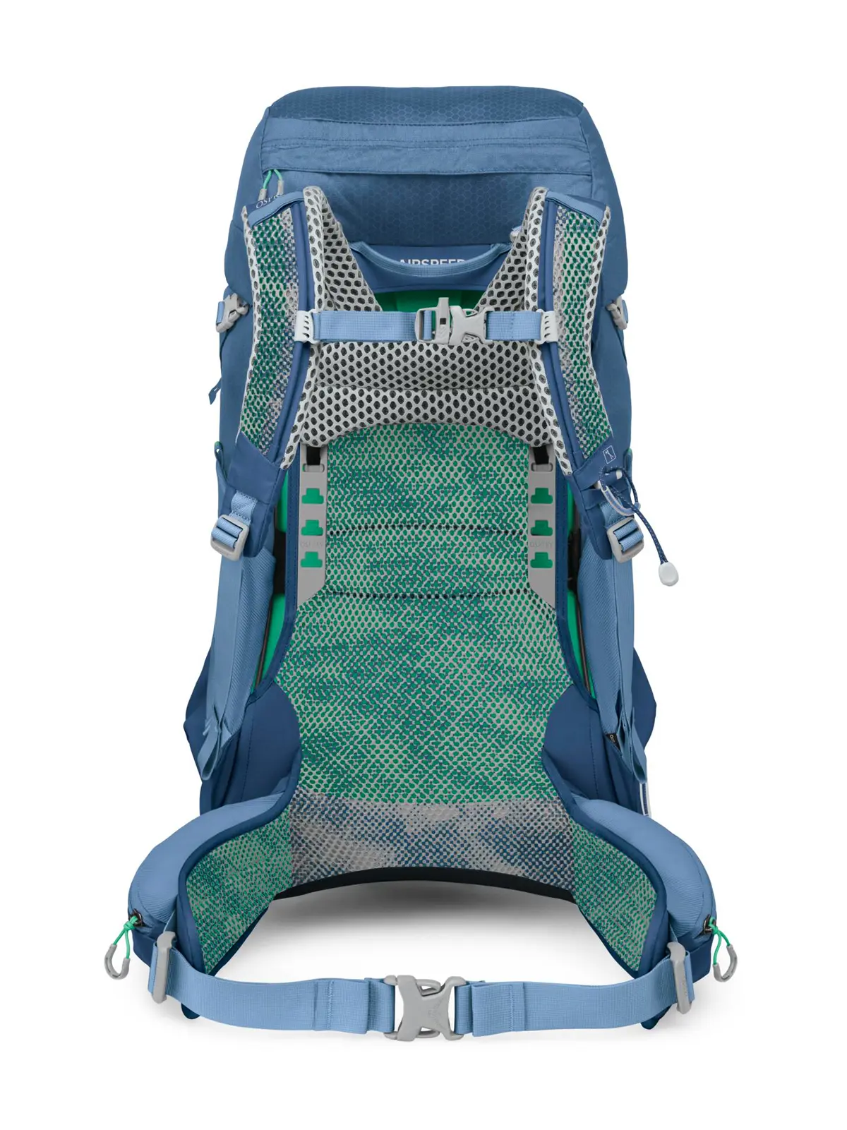 シラス36 セーブルスブルー