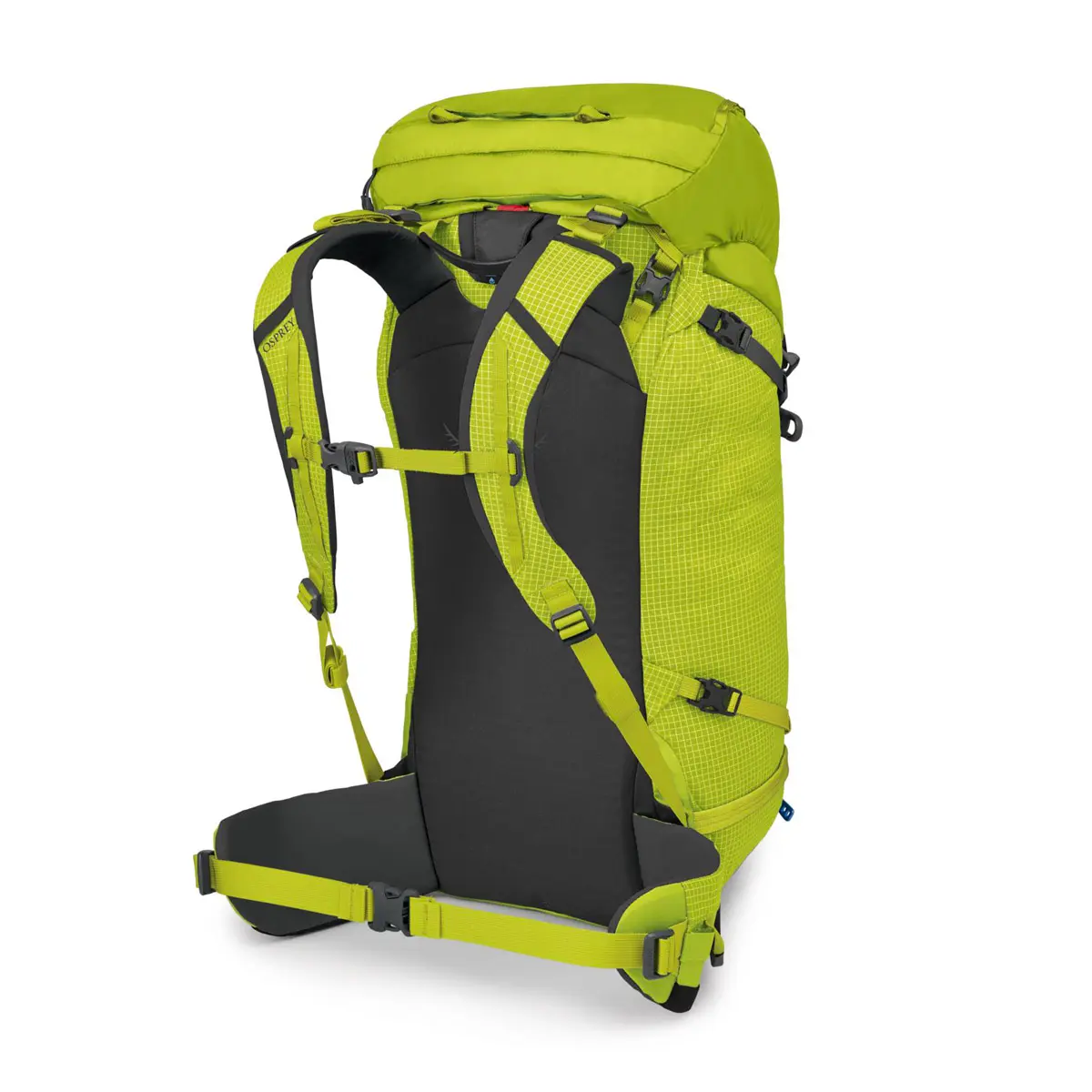 ミュータント38 レモングラス M/L