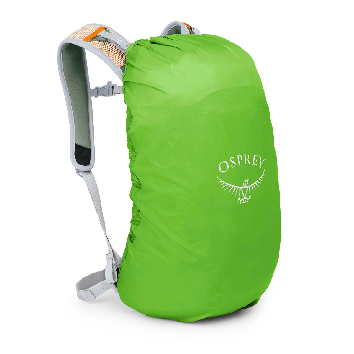 ハイクライト18 パインリーフグリーン