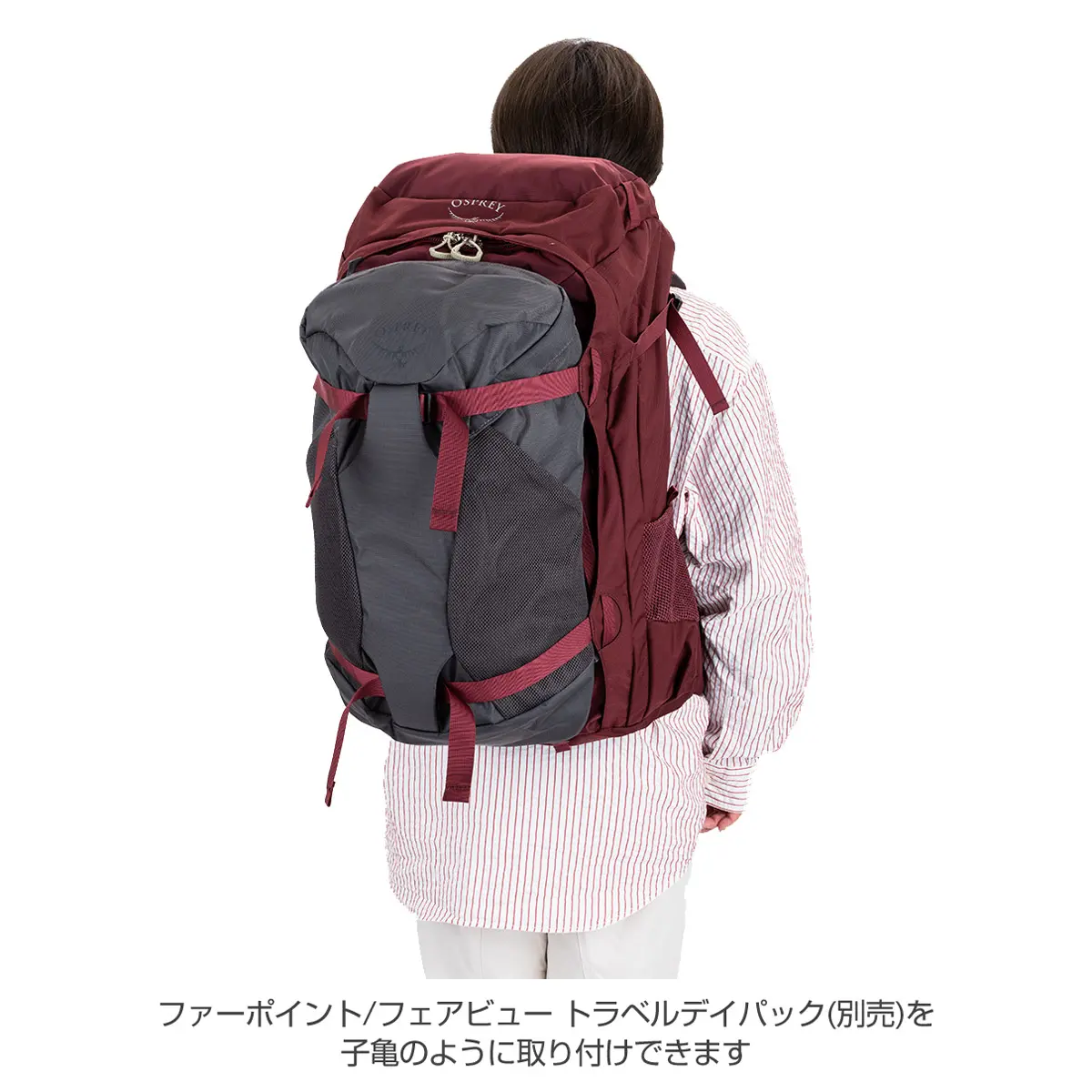 フェアビュートレック50(ジルコンレッド): オスプレー | ロストアロー