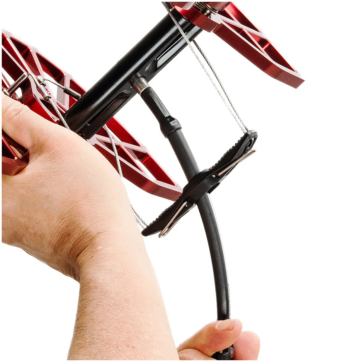 【WEB限定】キャメロットC4 #7 #7