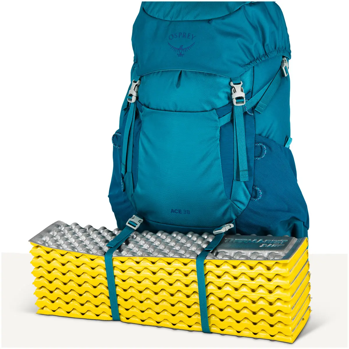 エース38 ブルースパイクモス/ディープペイト