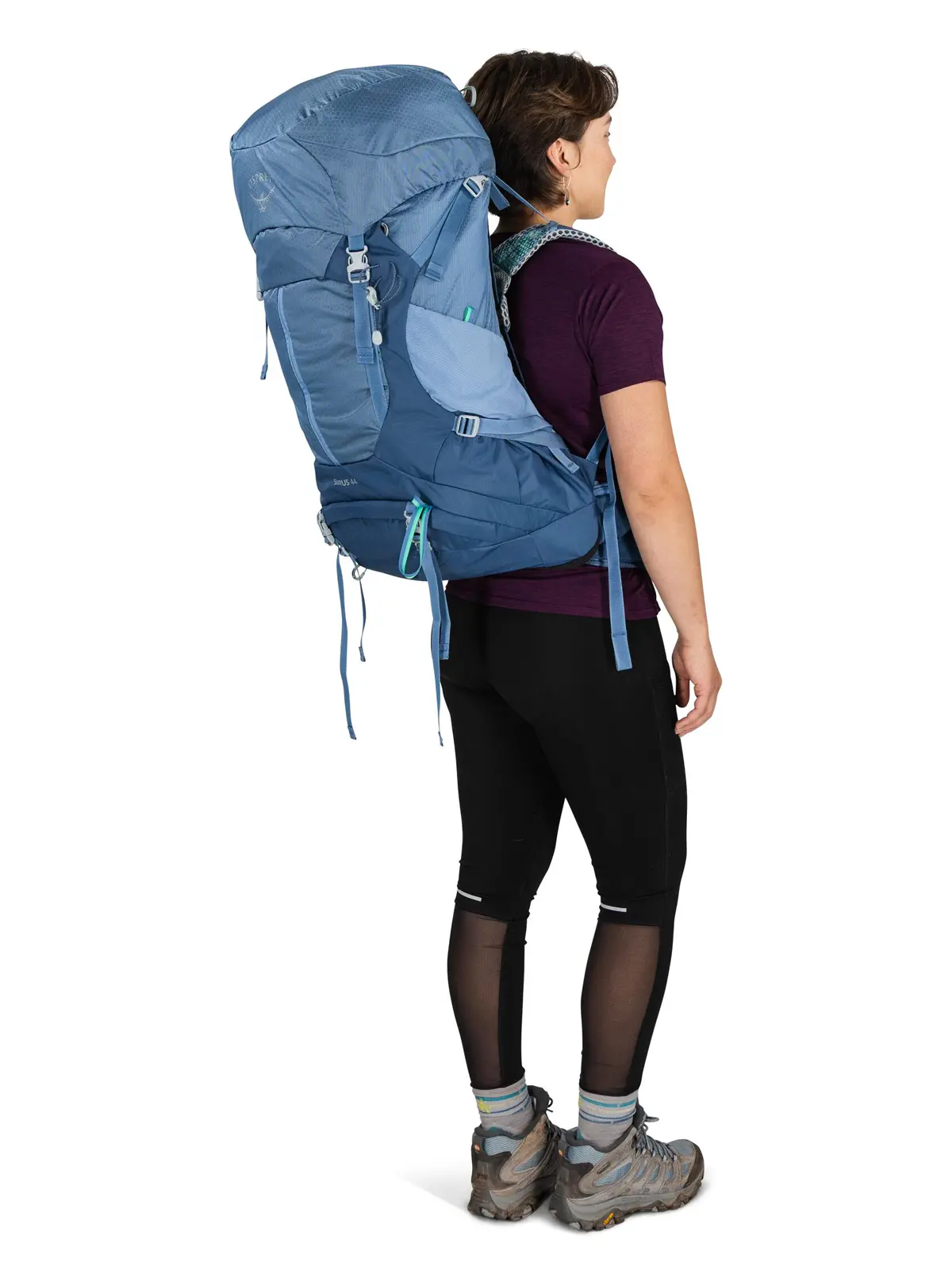 シラス44 セーブルスブルー