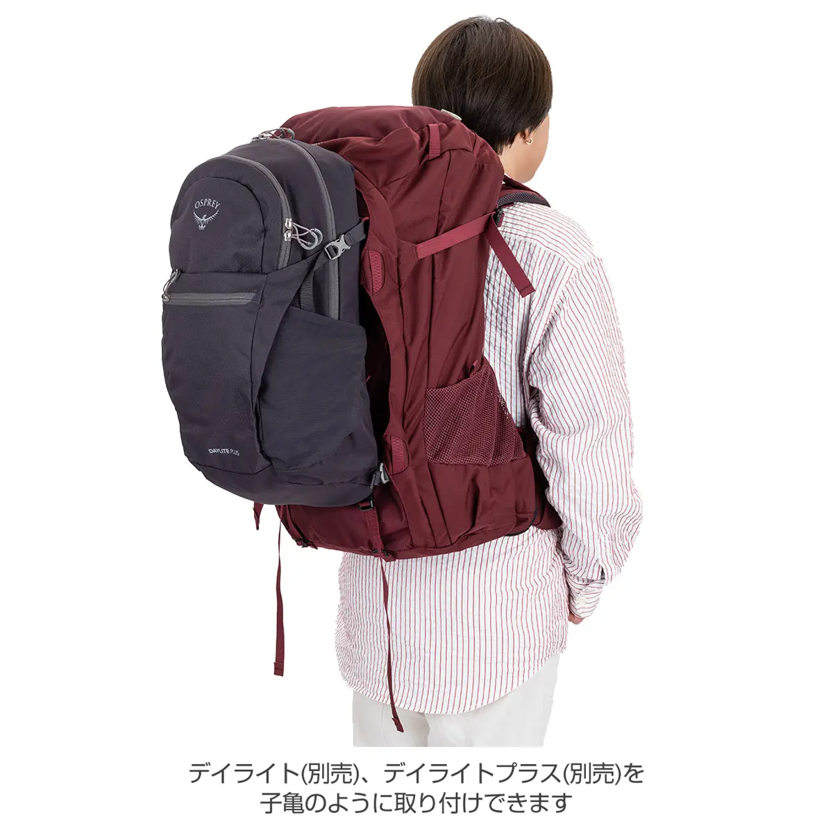 フェアビュートレック70(ジルコンレッド): オスプレー | ロストアロー