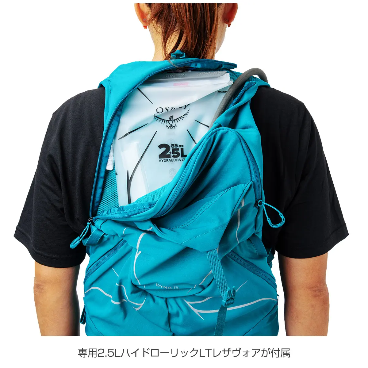 ダイナ15(XS/S スレートグレー): オスプレー | ロストアローオンライン