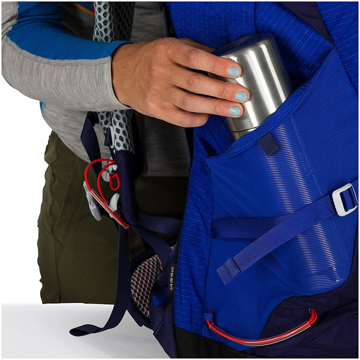 シラス34 ブルーベリー