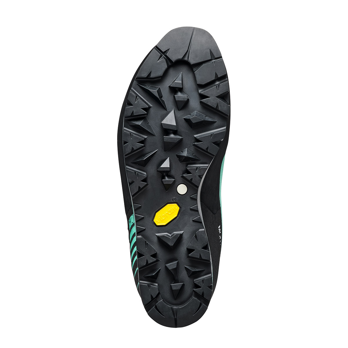 モンブランプロ GTX  スカルパ　SCARPA