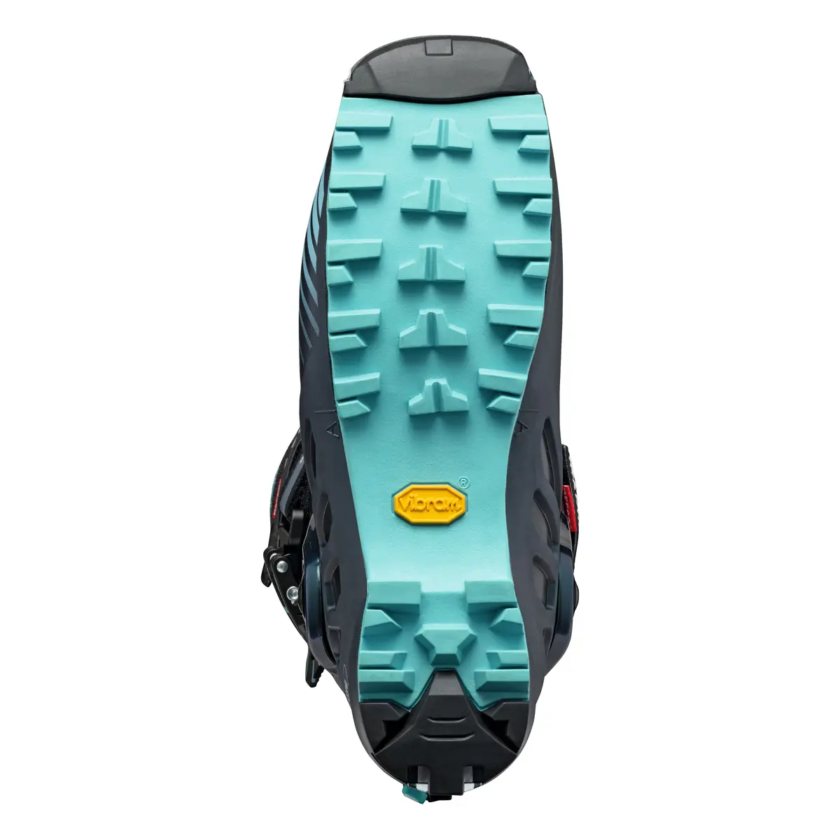 F1 WMN アンソラジット 23