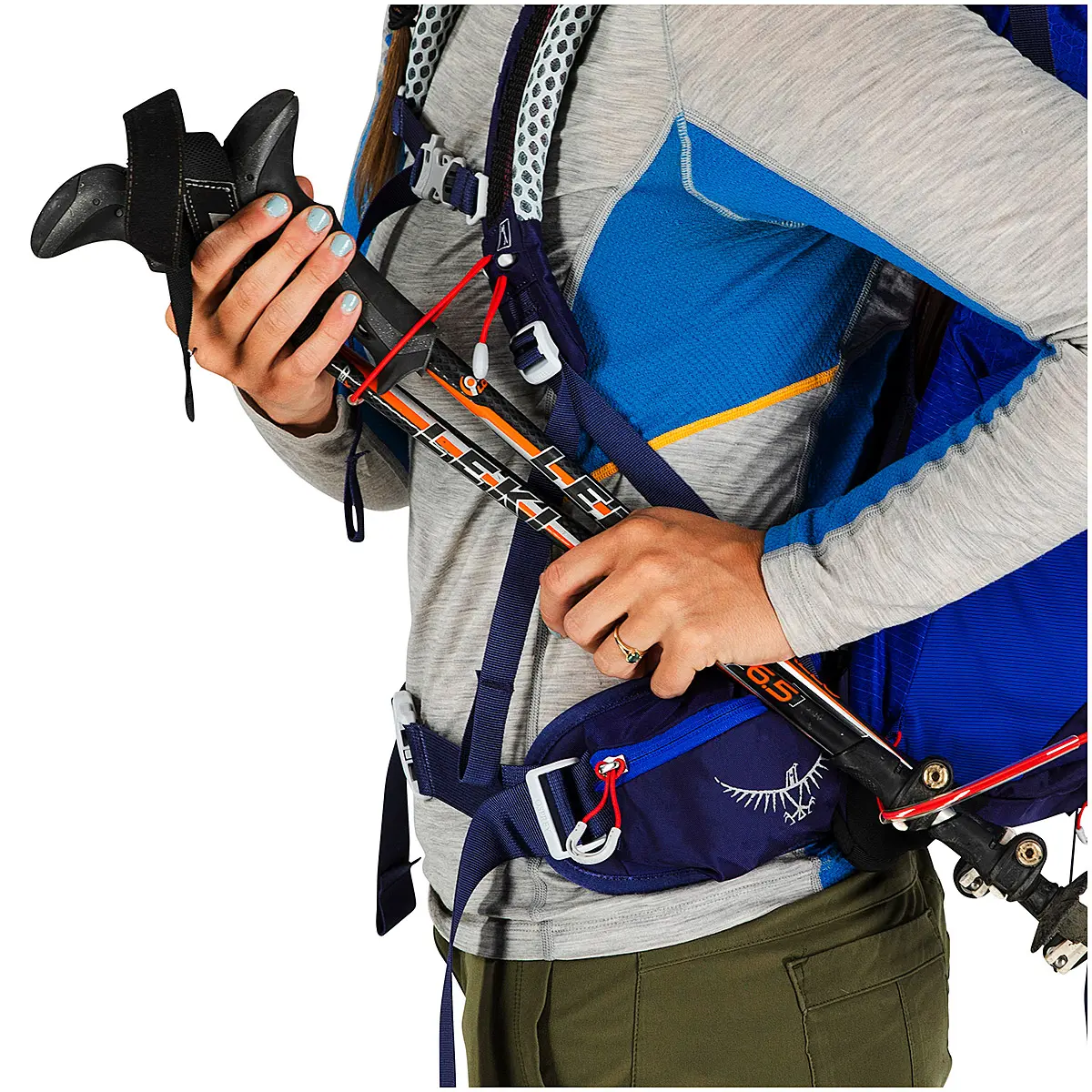 シラス34 ブルーベリー