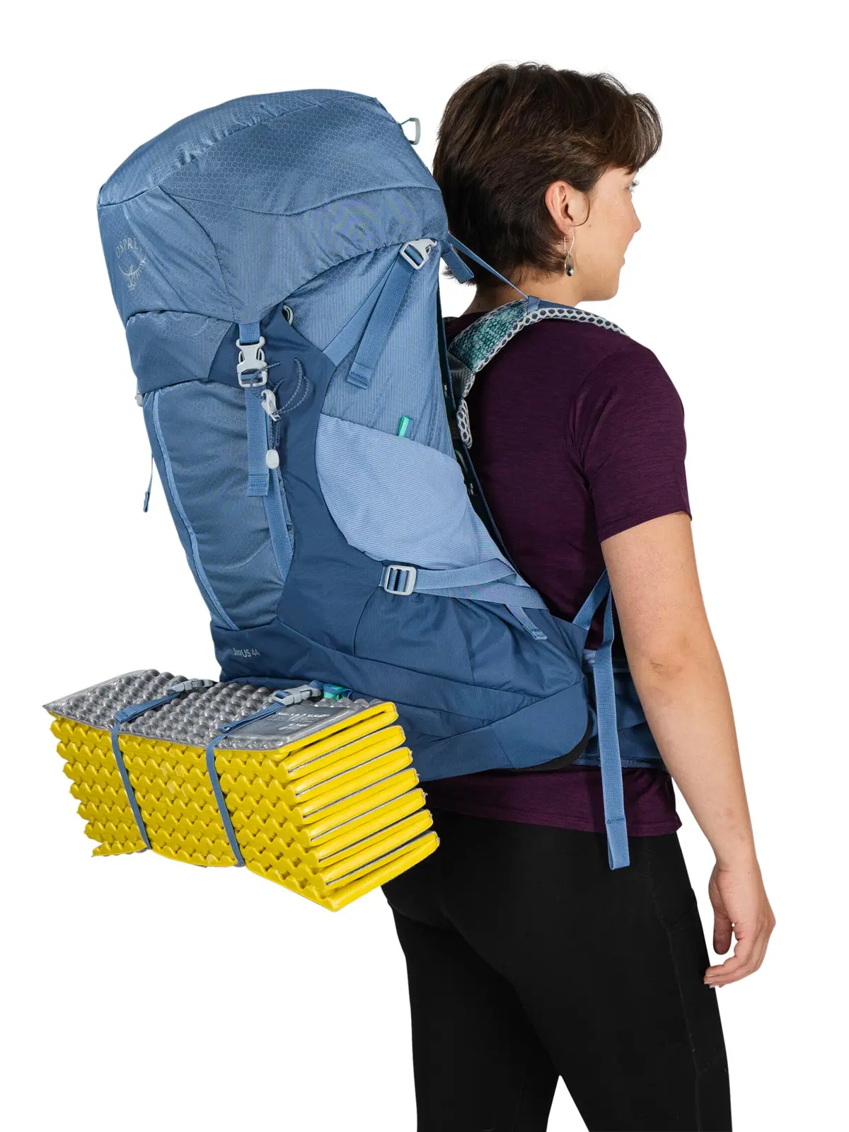 シラス44 セーブルスブルー