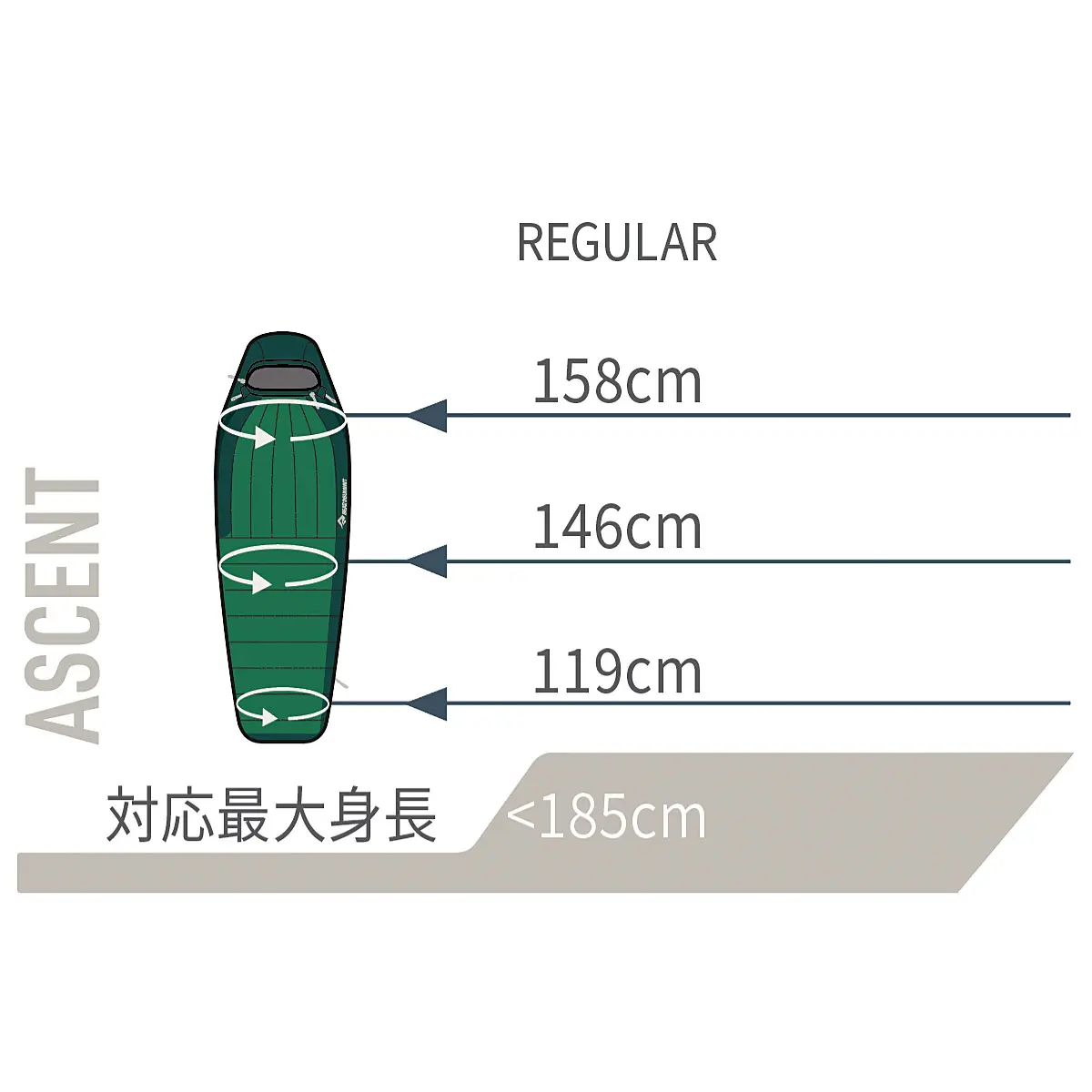 アセント-1C レギュラー