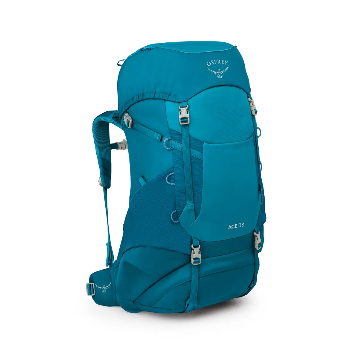 エース38 ブルースパイクモス/ディープペイト