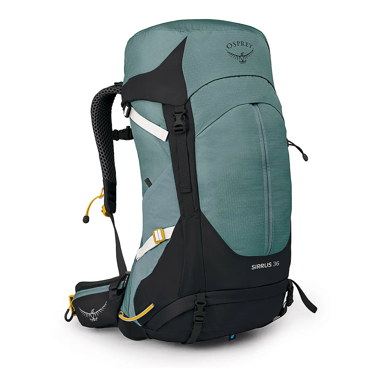 シラス36(サキュレントグリーン): オスプレー | ロストアロー