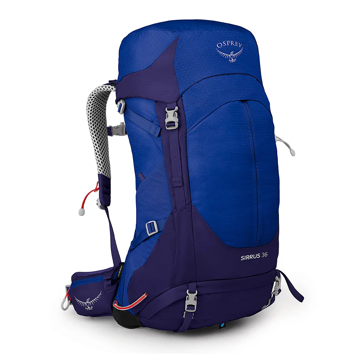 シラス36 ブルーベリー